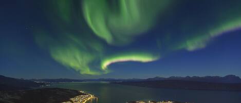 Vista nocturna de una ciudad costera con un río, edificios iluminados y auroras boreales.