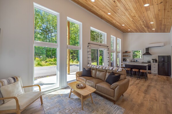 Smart TV, fireplace - Black Haven Tiny Home (Surry)