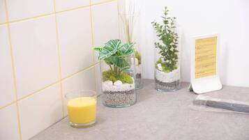 Dusche, Haartrockner, Seife, Toilettenpapier