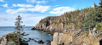 Romantic Downeast Ocean Front Cottage ~ Amazing Views ~Near Quoddy Head Park!