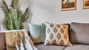 A grey sofa with patterned cushions and a large green plant to the left. - The Prairie at Brighton | UF • Pool • Workspace (Gainesville)