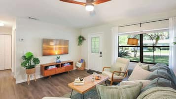 Fernseher, Arbeitsbereiche