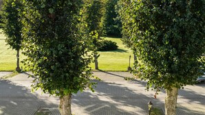 Un camino empedrado con árboles y un área verde al fondo.