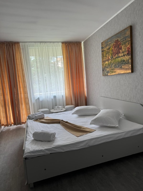 Habitación básica con 1 cama doble o 2 individuales | Wifi gratis y ropa de cama