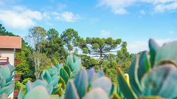 Jardín