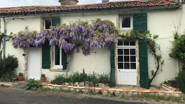 A traditional building with a tiled roof, green shutters, and a hanging purple flower vine. - La Maison Glycine. A charming 3 bedroom cottage set in beautiful countryside  (La Villedieu)