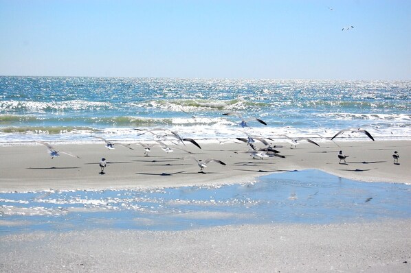 On the beach