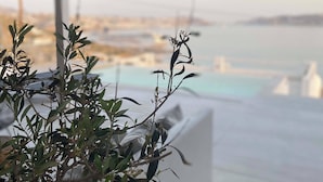 Un espacio al aire libre cubierto con vista a un cuerpo de agua y un horizonte urbano distante.
