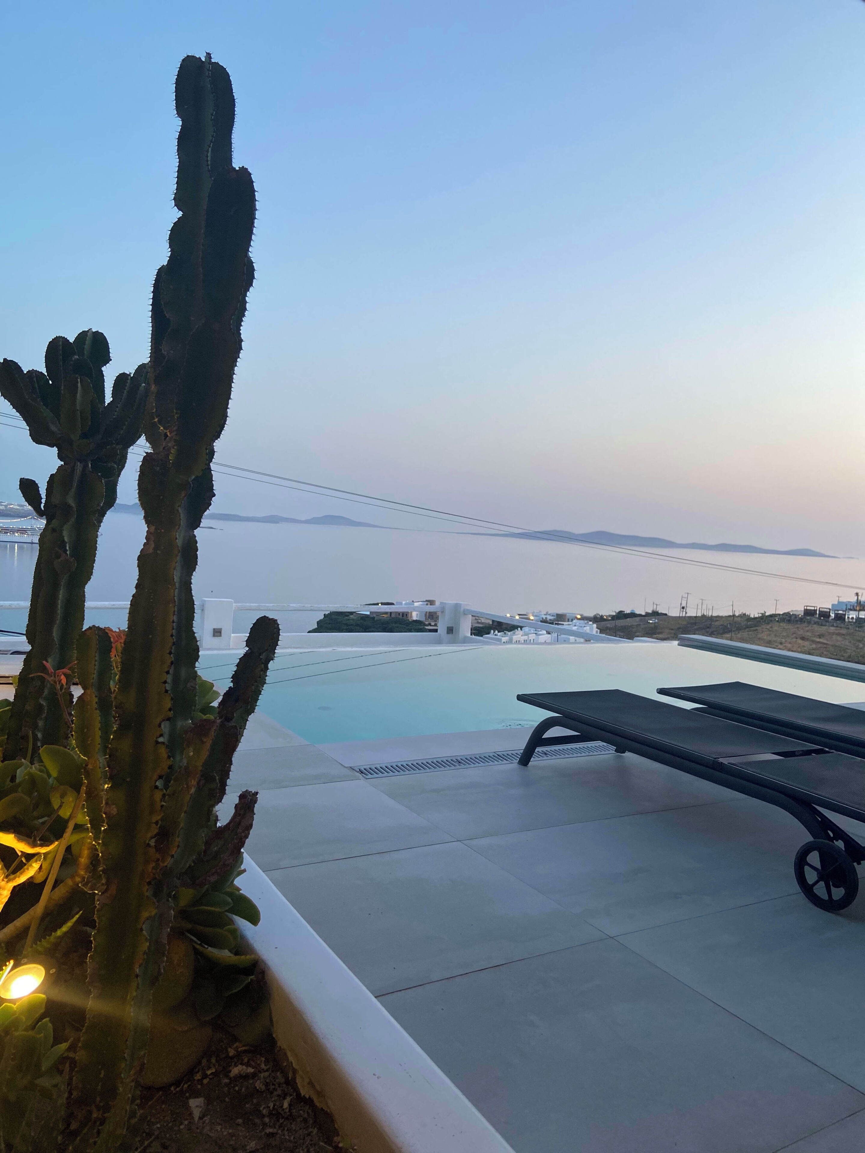 Un espace aménagé au bord de la piscine, avec un cactus et des chaises longues.