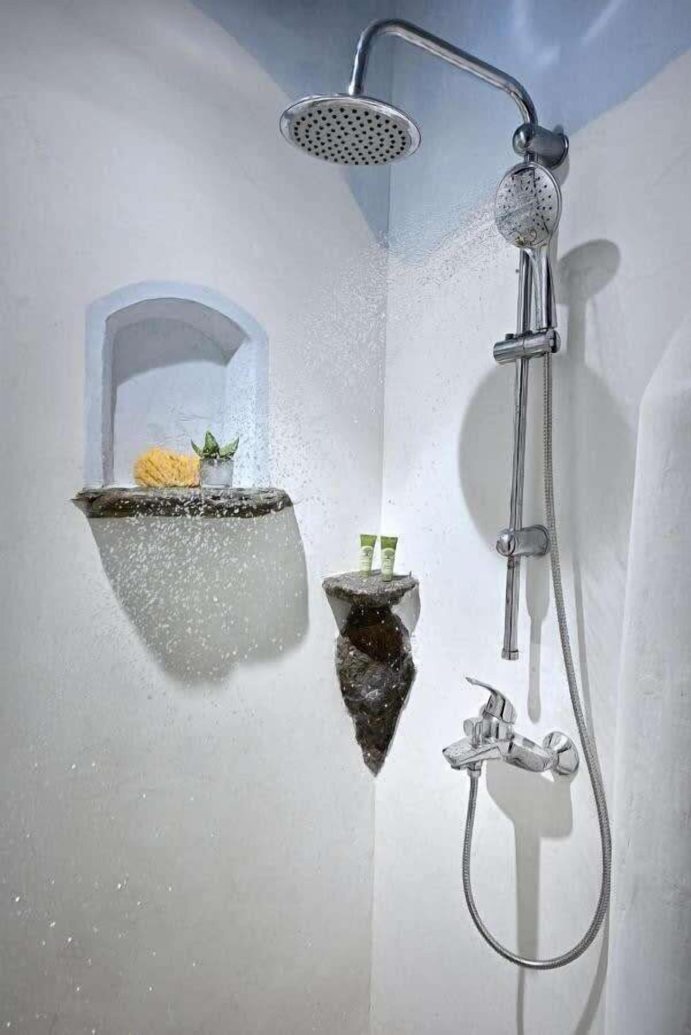 Une douche équipée d’un pommeau de douche à main et d’un robinet mural. On y trouve deux petites étagères avec des articles de toilette et une plante en pot.