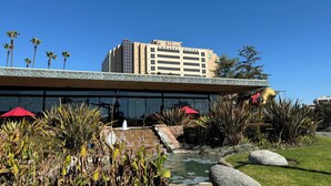 Een hotel met een modern design, met een grote glazen gevel, een dakbostuin met palmbomen en een waterpartij in de binnentuin.