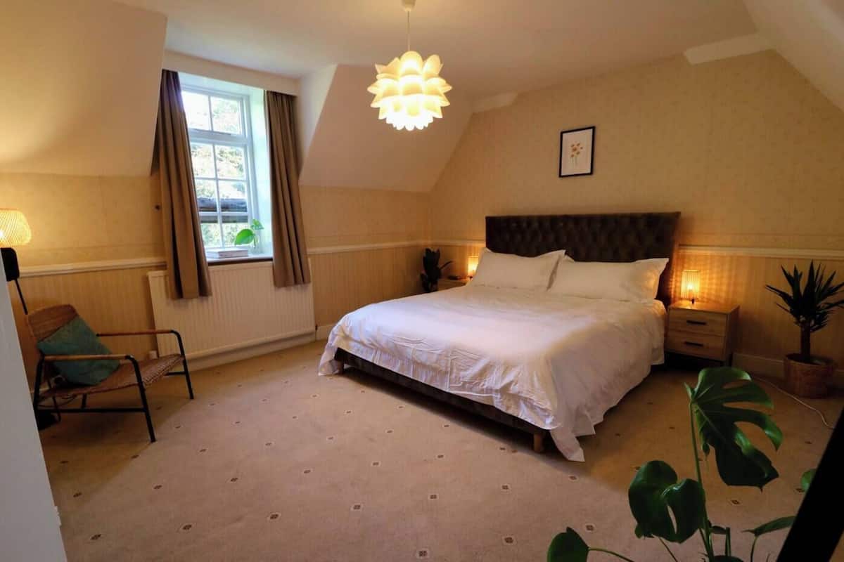 A bedroom with a large bed, a chair, a window with curtains, a bedside table with a lamp, and a potted plant.