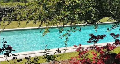 Charming Provençale farmhouse for rent in the middle of Lubéron National Park.