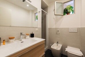 Dusche, Haartrockner, Bidet, Handtücher