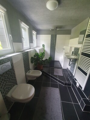 Shower, hair dryer, bidet, towels