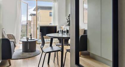 Modern luxury apartment