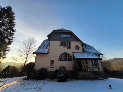 An Art Nouveau Villa in the forests