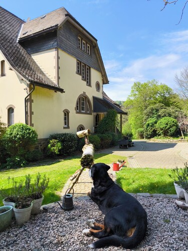 An Art Nouveau Villa in the forests