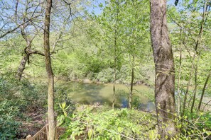 Interior - Pet-friendly Ellijay Vacation Rental w/ Hot Tub! (Ellijay)