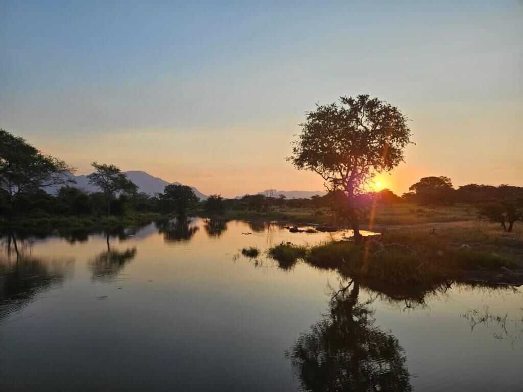Un paysage paisible, avec un arbre se reflétant sur une étendue d'eau calme au coucher du soleil.