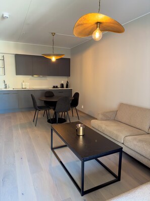 TV - Moderne 3 Roms Leilighet i Oslobukta! (Oslo)