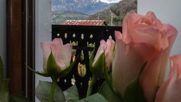 A window with a view of snow-capped mountains, a wooden door frame, and a rose bush in the foreground.