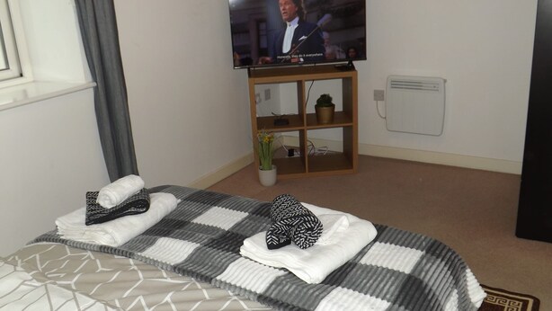 Quarto de hotel com uma cama, uma televisão sobre um suporte, uma pequena planta e um radiador.