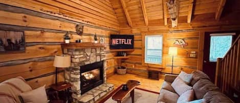 Smart TV, fireplace, books