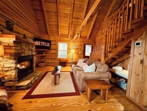 TV connectée, cheminée, livres