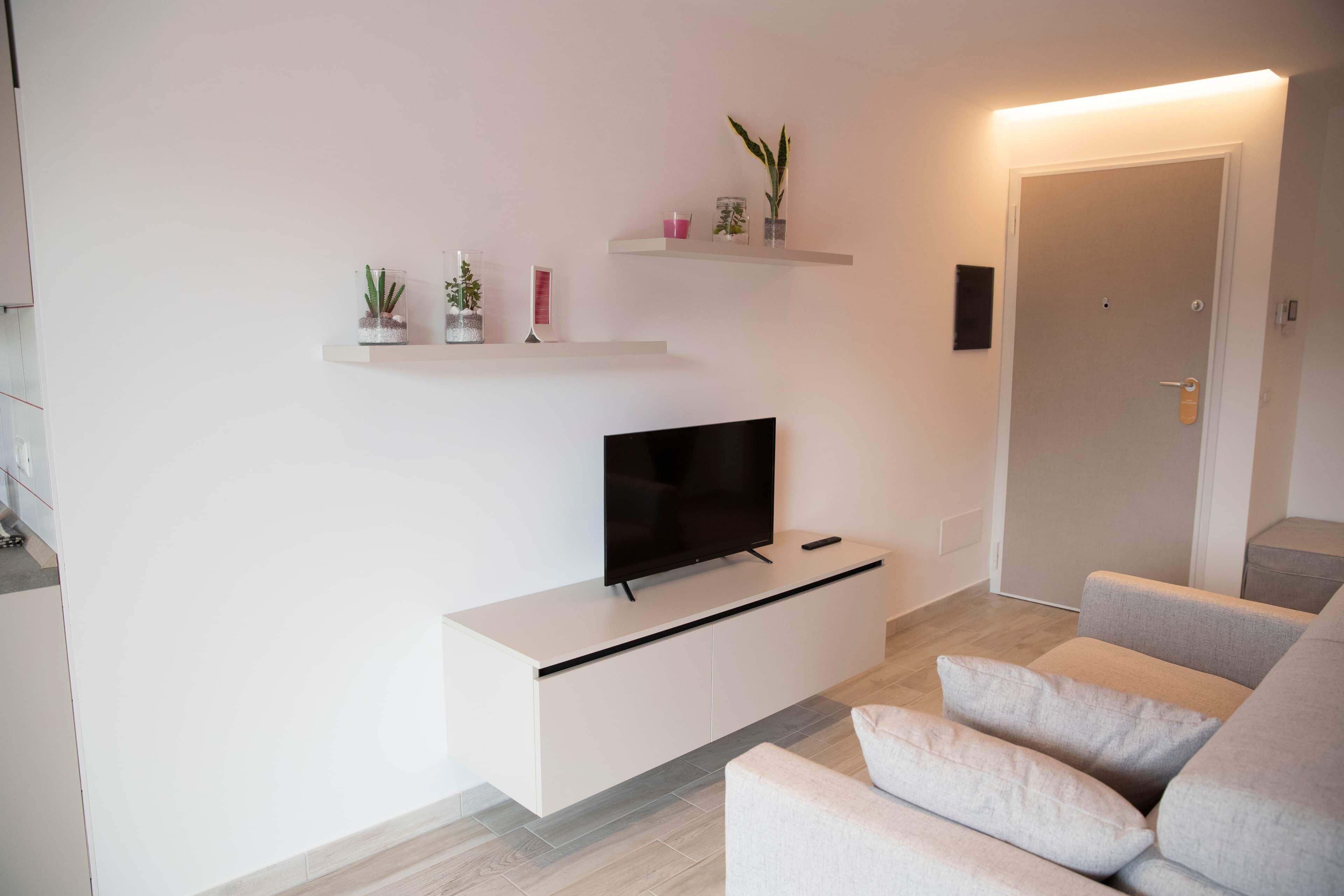 TV