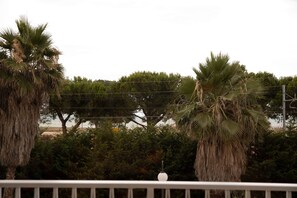 Property grounds - RASPERRY SORBET (Roseto degli Abruzzi)