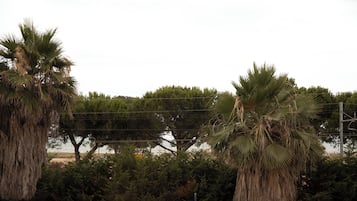 Overnatningsstedets område