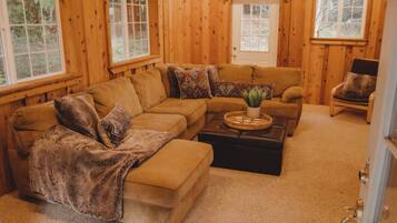 TV connectée, cheminée, jeux vidéo, lecteur de DVD