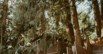 Olympic Holiday TreeHaus