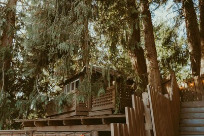 Olympic Holiday TreeHaus