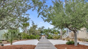 Une promenade en bois mène à une zone de plage sablonneuse, entourée de différents arbres et plantes.
