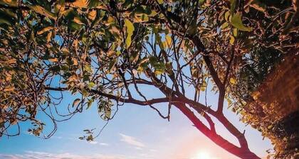 Modern & cosy lakeside house in stunning Loughrea.