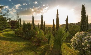 Parco della struttura
