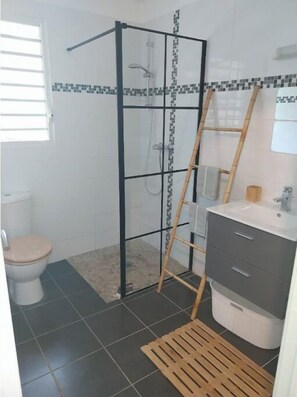 Shower, hair dryer, towels, soap