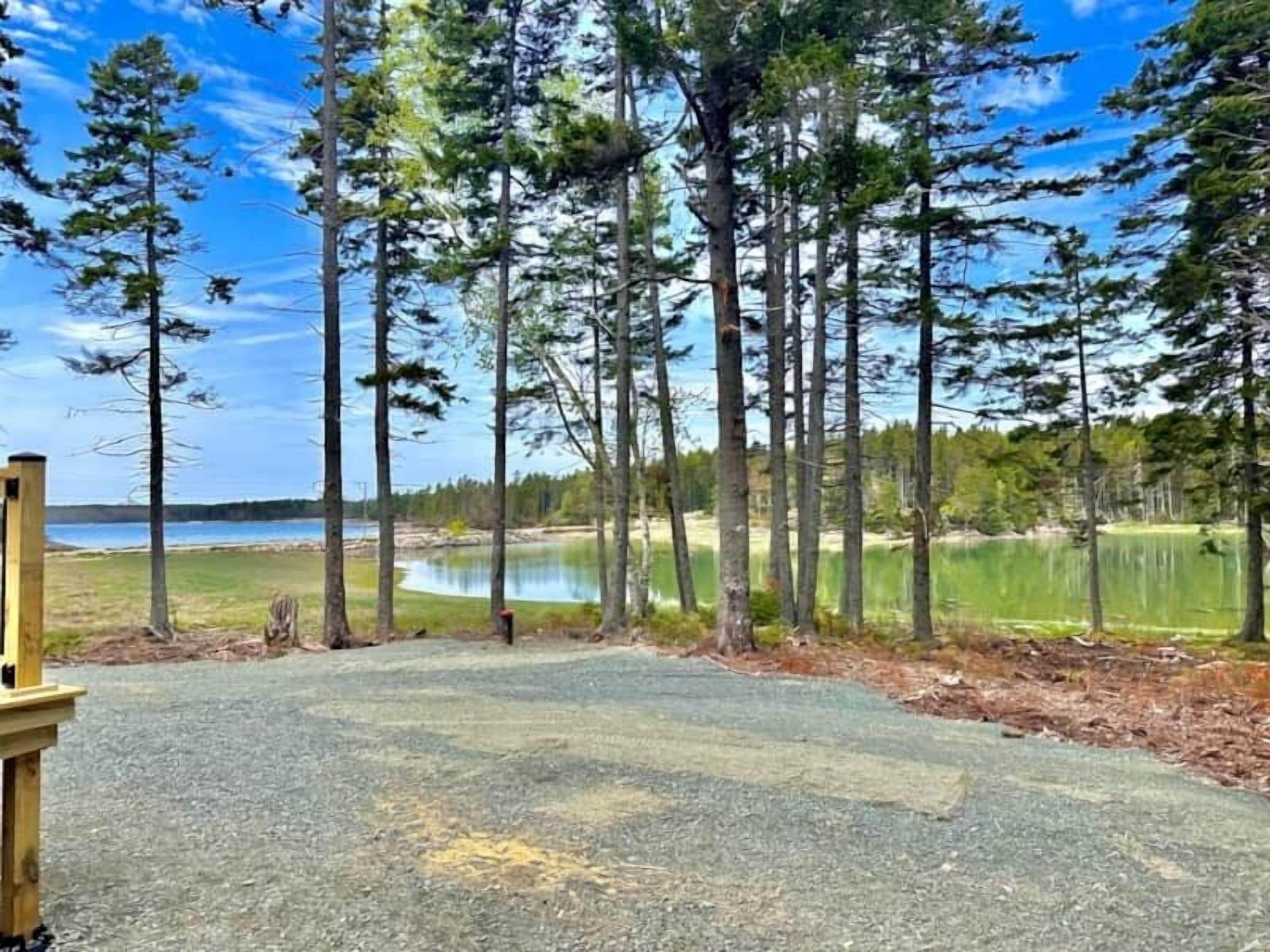 Un aparcamiento de grava con un banco de madera y vistas a un lago rodeado de altos árboles.