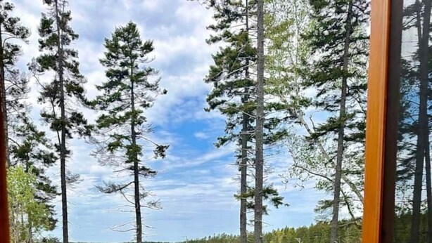 Une terrasse en bois avec une balustrade donnant sur un lac et une forêt.