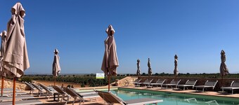 VINEYARD OF PETTINEO - GUEST HOUSE