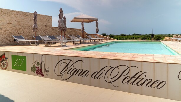 A pool area with lounge chairs and umbrellas, a stone wall, and a sign reading "Vigna di Pettino".
