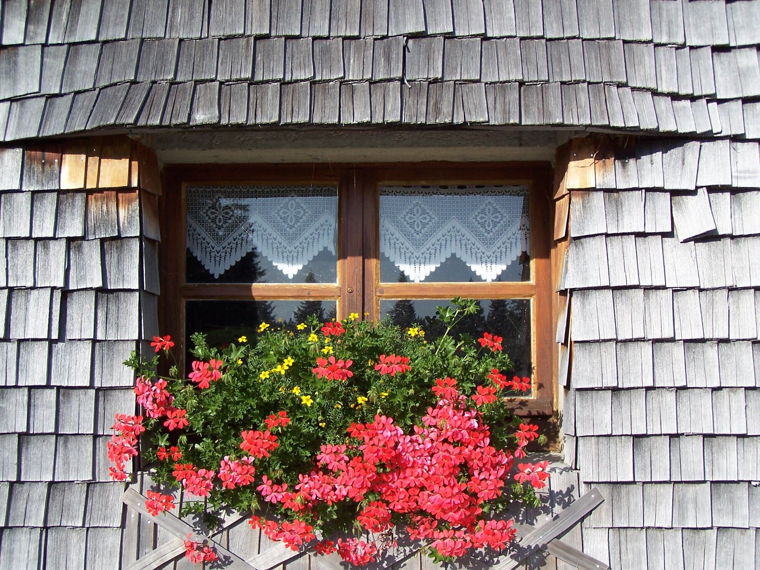 Ein hölzernes Fenster mit Spitzenvorhängen und einem Blumenkasten mit roten und gelben Blüten.