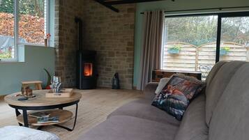 TV connectée, cheminée