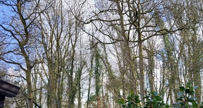 Gîte Rural Avec Terrasse et vue sur le Bois Proche de la Citadelle de Namur
