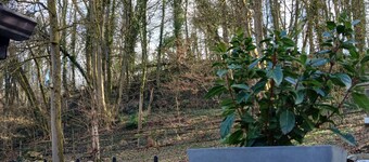 Gîte Rural Avec Terrasse et vue sur le Bois Proche de la Citadelle de Namur