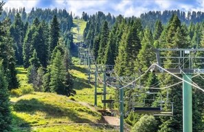 Eine Seilbahn schlängelt sich durch ein bewaldetes Gebiet, strahlend blauer Himmel.