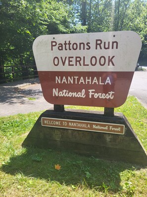 Property grounds - BEST porch view of the Smokies! AMAZING creekside fire pit, Master suite! (Andrews)