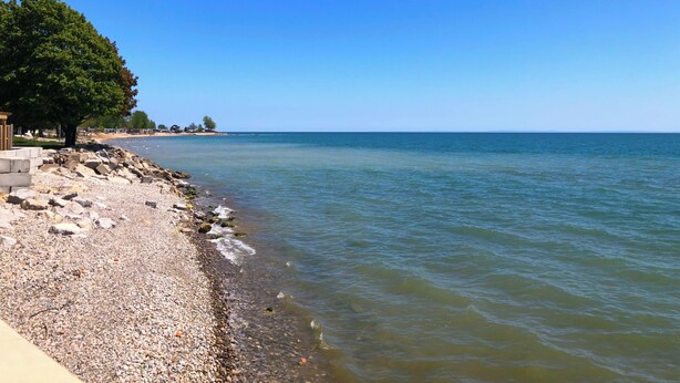 A pebbled beach with a clear blue sky, a large tree, and a calm sea. - Comfortable stay in a large home on the shores of Lake Erie (Dunnville)